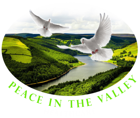 Peace in the Valley Health Care Agency